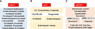 Recent Advances in Medical Therapy for Urological Cancers